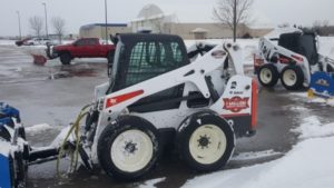 Bobcat